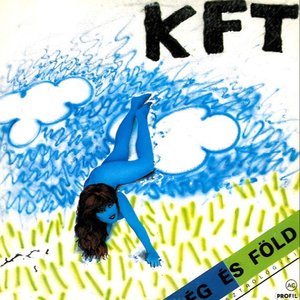 LP Cover