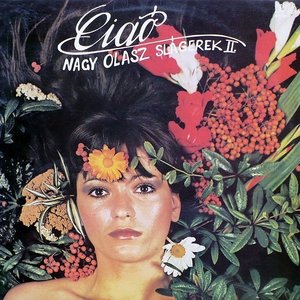 LP Cover
