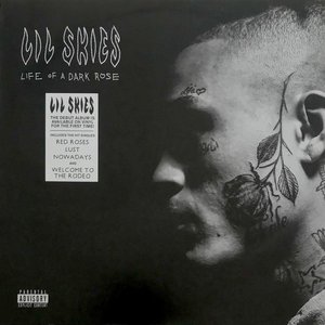 LP Cover